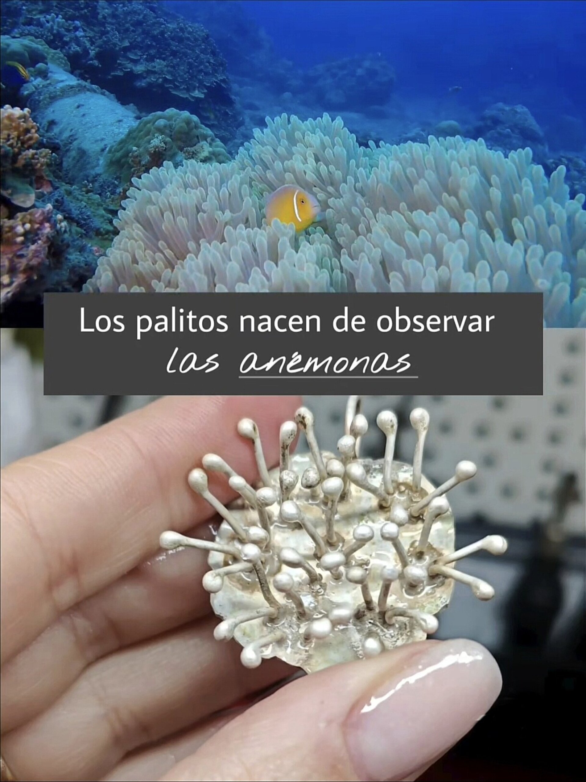 COLGANTE ARRECIFE DE CORALES 🪸 (Plata de Ley) - 5