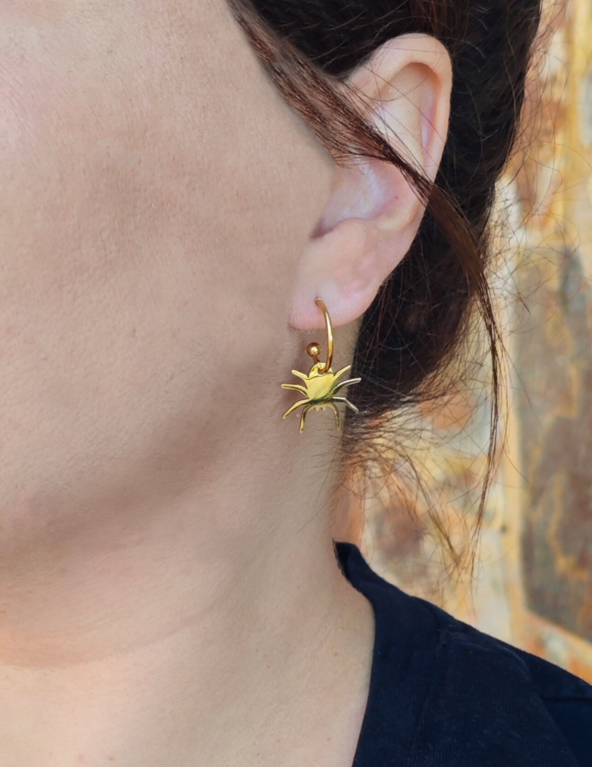 PENDIENTES SPIDER (Acero) - 2